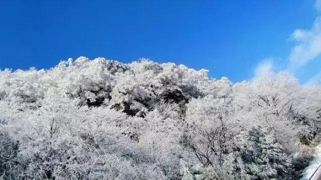 1957年，北京市一劳模为何被抓？埋藏身份12年，被判死缓